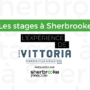 Les stages à Sherbrooke - Chez Café Vittoria