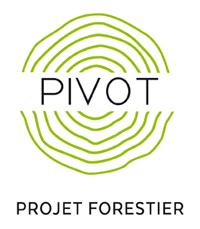 Pivot - Projet forestier